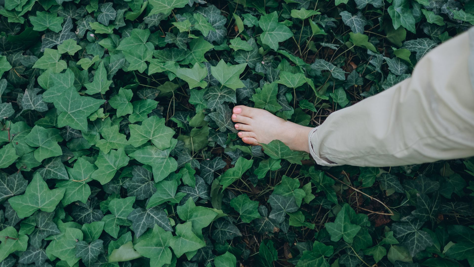 Scegliere Meglio con la Mindfulness